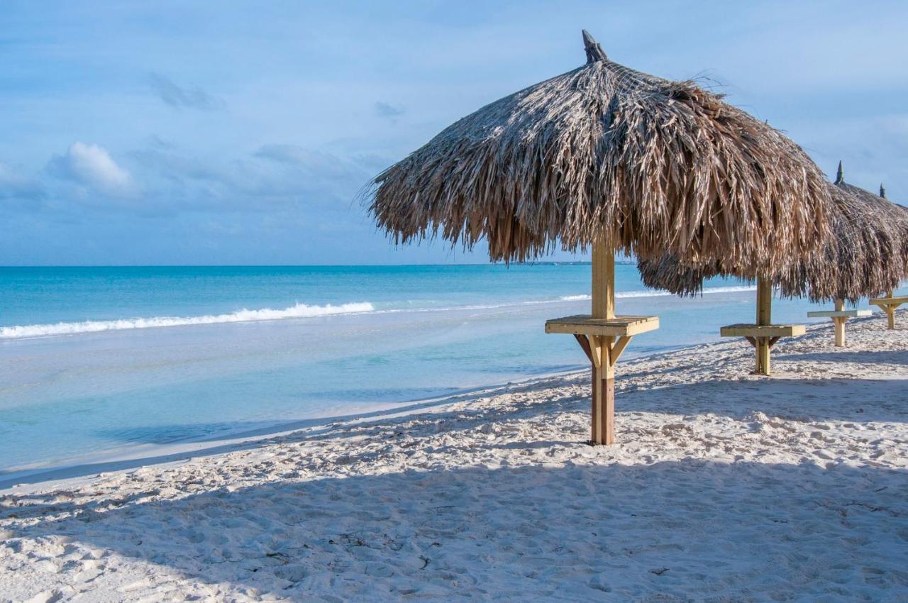 Yoyita Suites Aruba Villa Palm Beach Kültér fotó