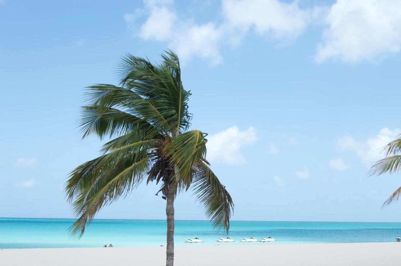 Yoyita Suites Aruba Villa Palm Beach Kültér fotó
